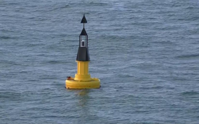 Yellow and black cardinal system buoy floating in the water.