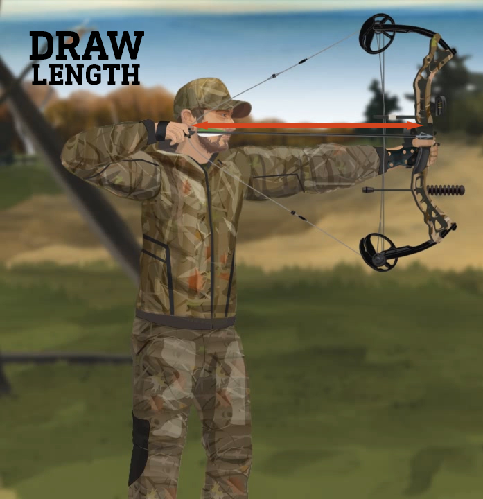 draw-length compound-bow-draw-length